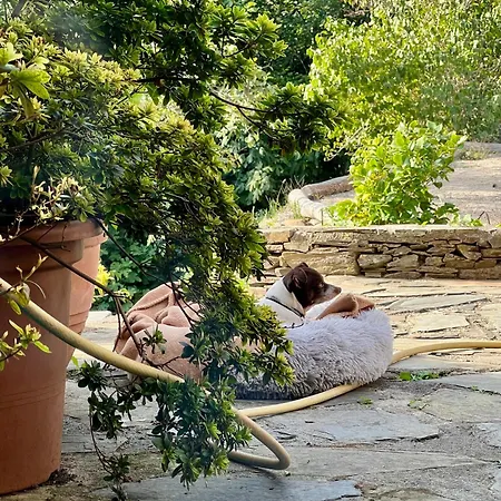 Vakantiehuis En Cevennes Sumène